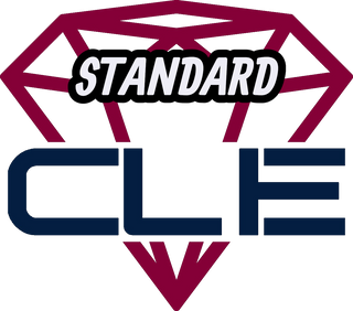 Standard Service Submission (90-100 Day)